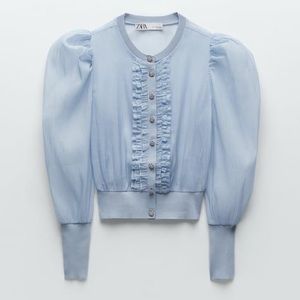 Zara organza top